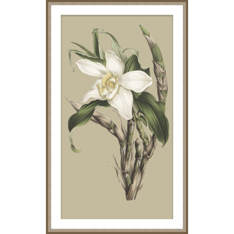 Jungle Flora 2 Print, 36.75" H x 22.75" W