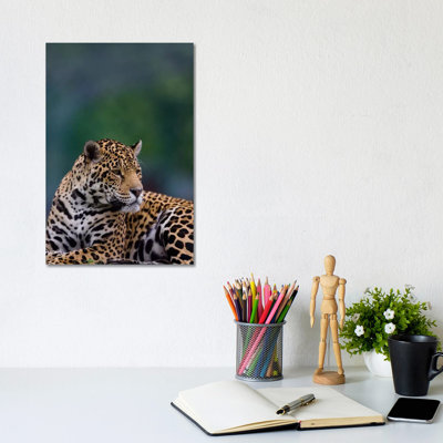 Jaguar 1 Piece Wrapped Canvas Wall Art