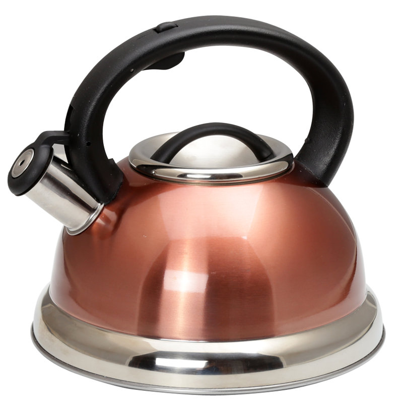 Creative Home Alexa 3 pintes Bouilloire pour cuisinière en acier inoxydable