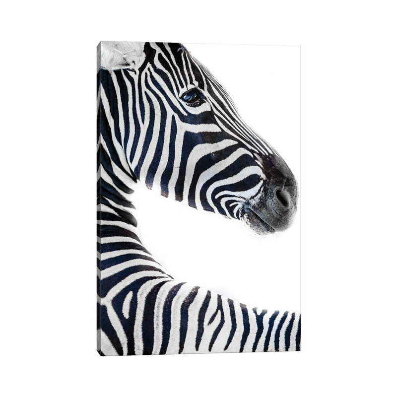 Zebra 6 by Goran Anastasovski - Wrapped Canvas Print, 20.32 cm H x 30.48 cm W