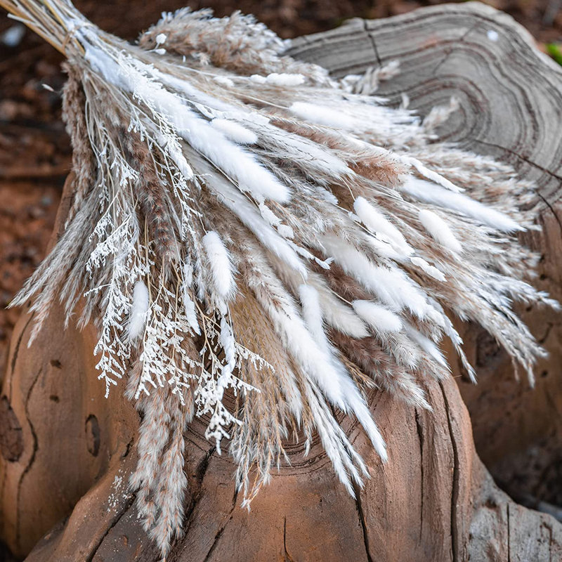 Faux Pampas Grass Grass