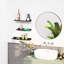 Nazdar Floating Shelf