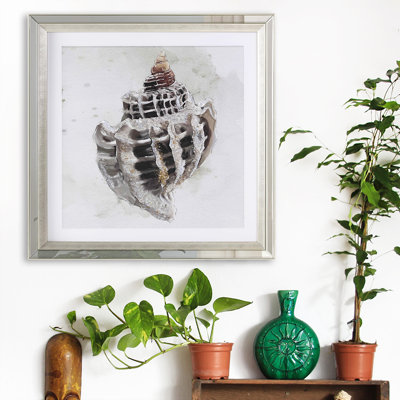 Coquillage orné de bijoux
