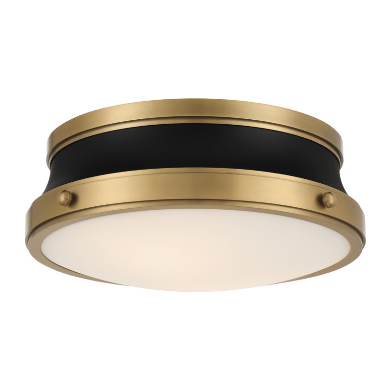 Purelight 15" 2-Light Flush Mount, Brass/Black