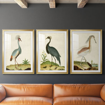 Heron Portrait I - Impression personnalisée de qualité supérieure avec passe-partout - 3 pièces