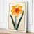 White Border