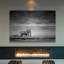 Faune «Elephant» par Parvez Taj-14233160-24267813