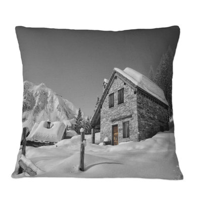 Throw Pillow