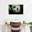 Panda Surprise-1004256816