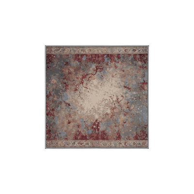 Machine Washable Gray Area Rug