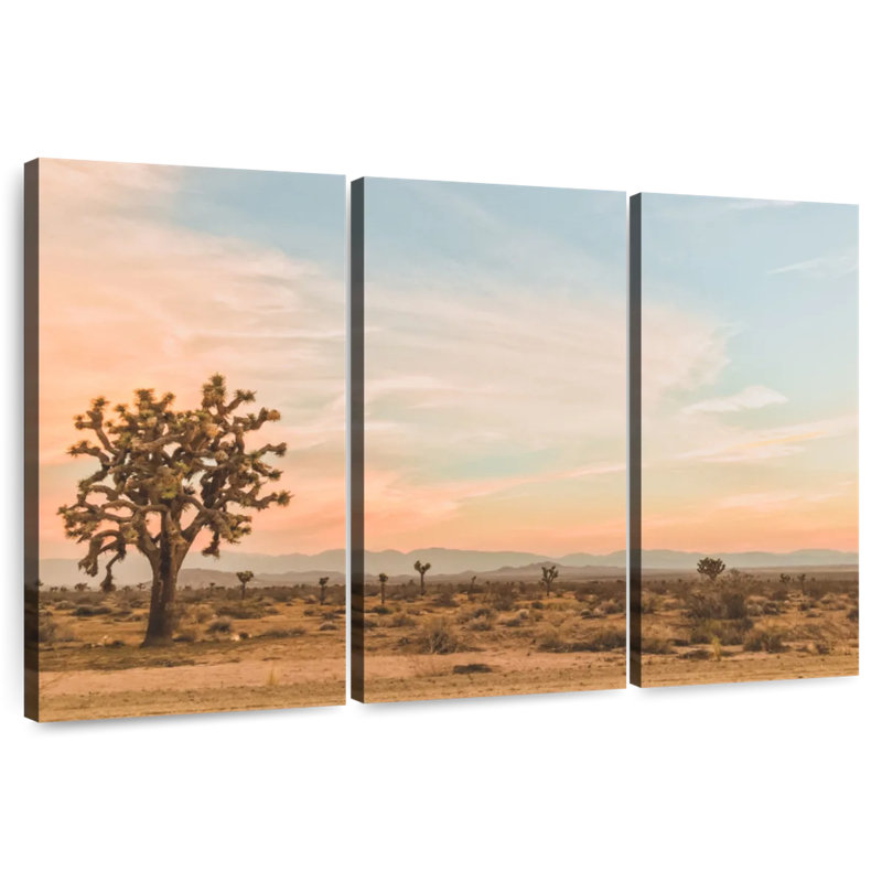Paysage désertique d'Alvord, H 20 po x l 33 po