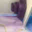 Photos des clients 1 de 3