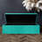 Velvet Rectangle Solid Colour Standard Ottoman with Storage-1006907553-1010575568