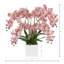 Pink Orchids Arranges in Square Fiberstone Planter