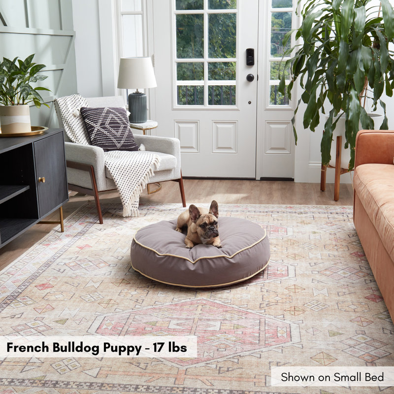 Lit pour chien Buckhead, Moyen (l 30 po x P 30 po x H 5 po), Fumée