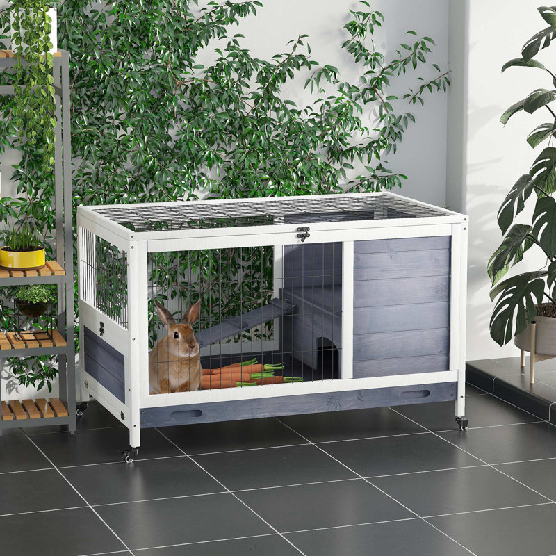 Cage à lapin avec rampe Bernece