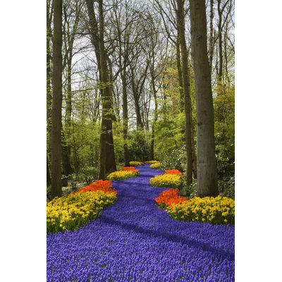 Dutch Keukenhof - Wrapped Canvas Print