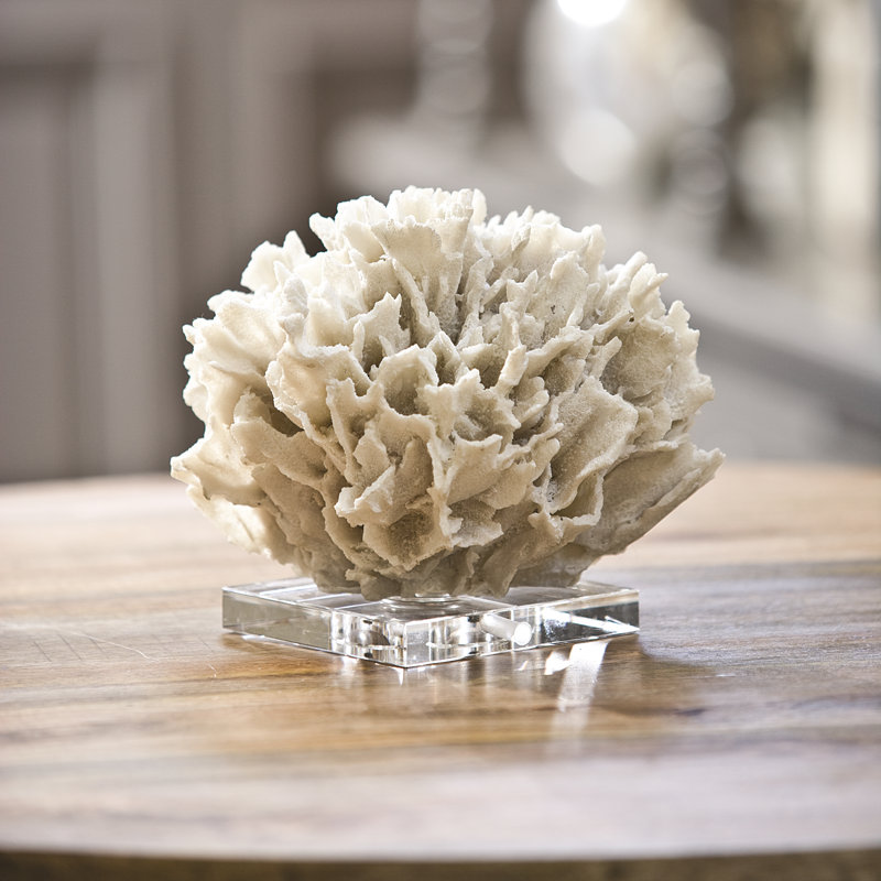 Ruban corail, Blanc