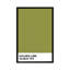 « golden lime 16-0543 tpx », impression sur toile-32896430-72219764-72233334