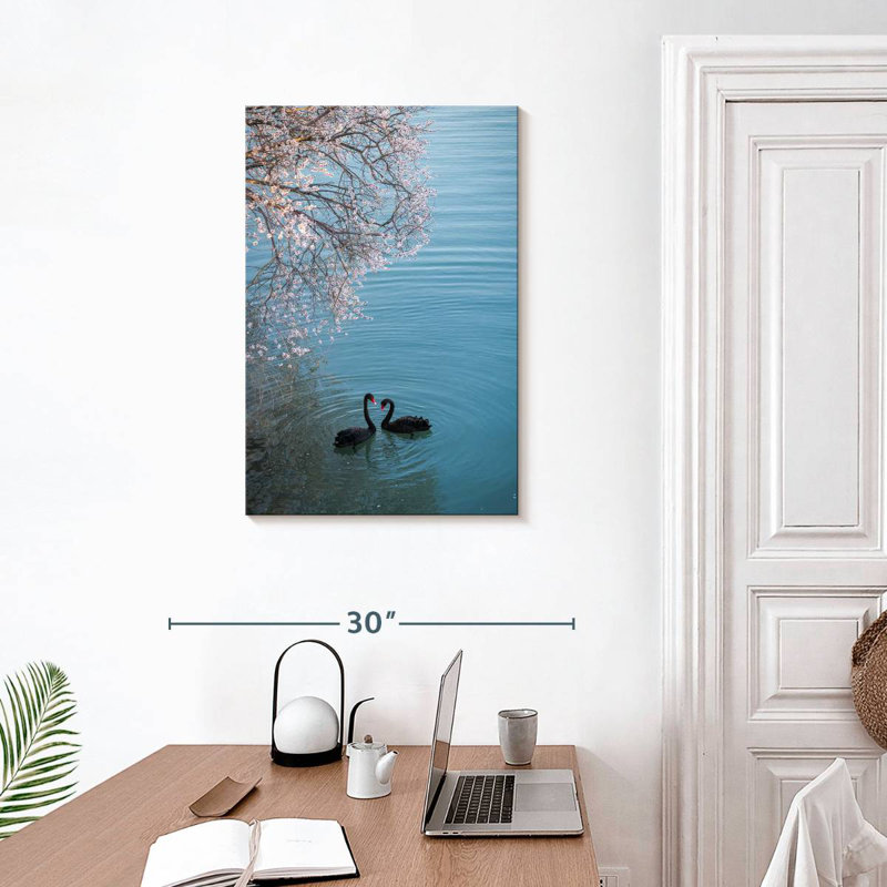 Brampt Black Swans Sakura, 30" H x 20" W