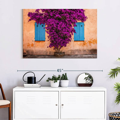 Harnek Purple Bougainvillea Tree