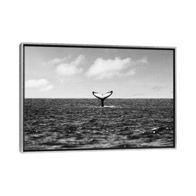 " Whale Tail " by Gal Design