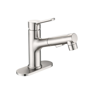 Pull-out Sprayer Stainless Steel Modern Bathroom Faucet For Sink And Kitchen