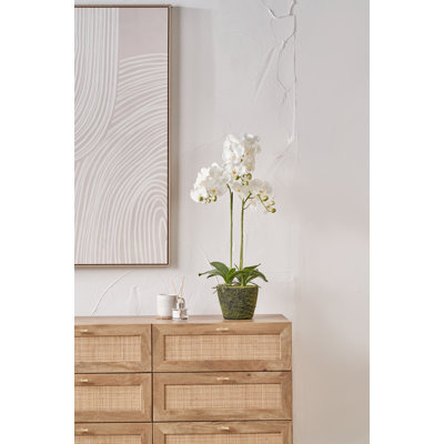80cm Faux Plant in Cement Pot Liner