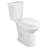 21inch High Two-Piece Toilet, Extra Tall Toilet Comfortable SeatHeight 1.28 GPF Elongated Floor Mounted (Seat Included)