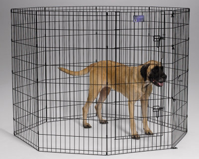 Metal Kennel Accessory