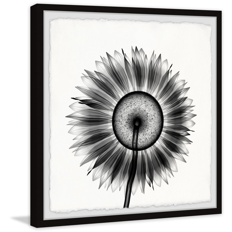 Sunflower Petals - Single Picture Frame Painting, 30cm H x 30cm W x 3.81cm D