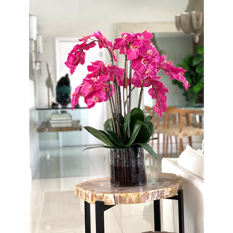 Blooming Orchid in Vase, Pink