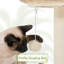 137.5cm H Tall Rattan Cat Tree