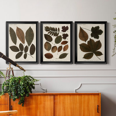 Autumnal Leaves I - Ensemble de 3 peintures sur toile encadrées