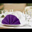 Burgundy Table Napkins 10-Pack | 19x19 Inch 180gsm Polyester | Luxury Soft & Absorbent | Machine Washable Wedding & Party Dinner Napkins-1535238565