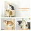 Cat Tree-119765483-119765486