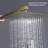 Rain Adjustable Shower Head 2.0 GPM GPM-66413402