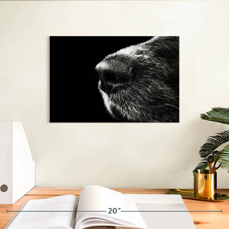 Brampt Dog's Nose, 8" H x 12" W
