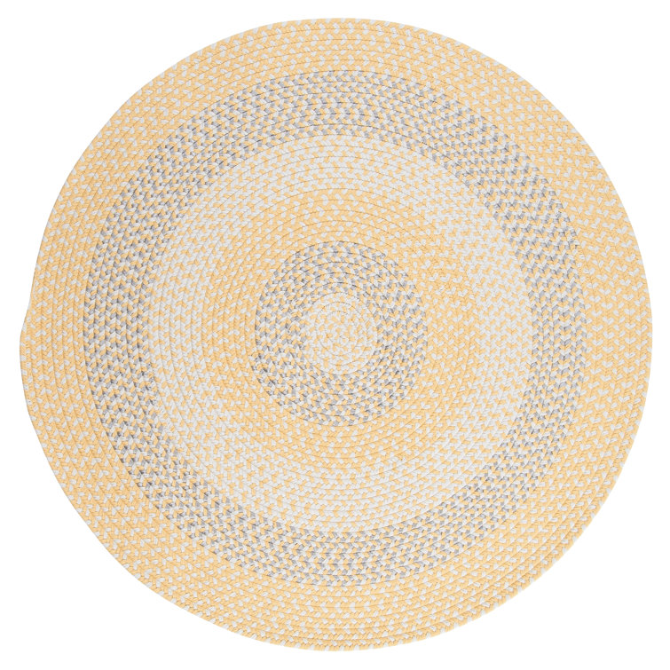 Carousel Indoor / Outdoor Rug