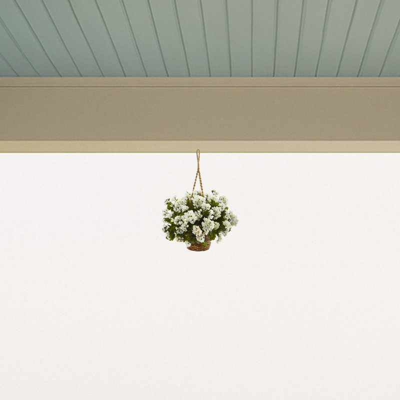 Geranium panier suspendu résistant aux rayons UV