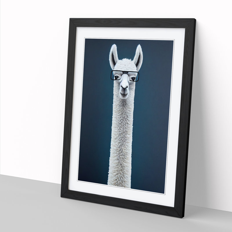 Llama In Glasses - Single Picture Frame Print, Black, 46cm H x 34cm W x 2cm D