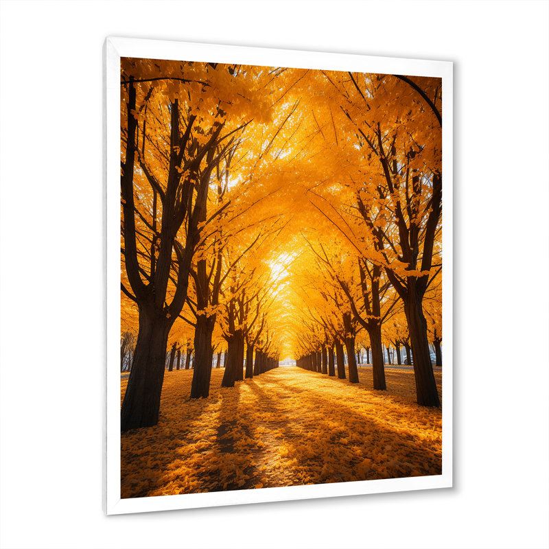 «Tree Golden Autumn Canopy II», reproduction sur toile, L 30 po x H 40 po, Cadre photo blanc