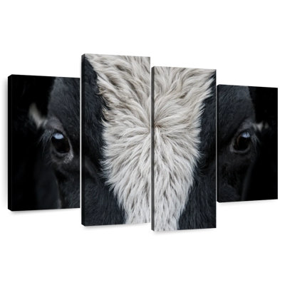 Yeux de vache Brampt