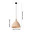 - Light Pendant