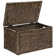 Ved Heavy-duty Water Hyacinth Wicker Storage Trunk with Metal Frame