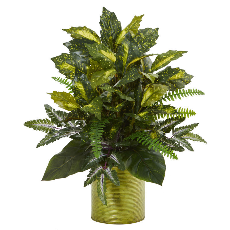 1 plante de feuillage 19,5" dans un pot de fleurs