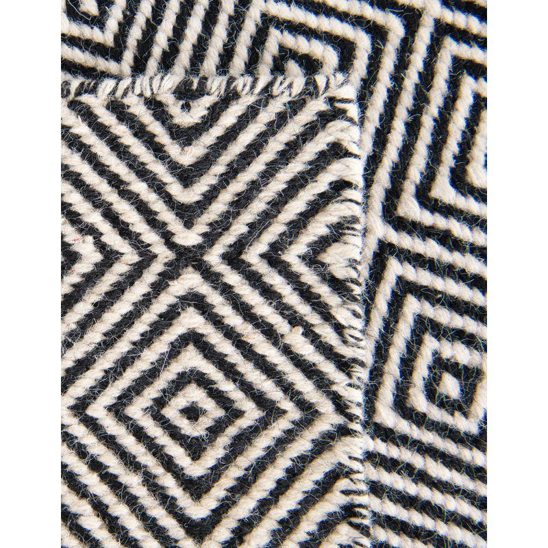 Traetyn Flatweave Wool Indoor Rug, Rectangle 4'1" x 6'1"