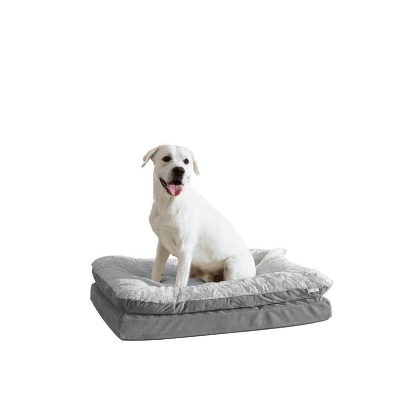 Lit orthopédique pour animaux Archie & Oscar ™ Home & Pet, H 8 po x l 36 po x P 27 po, Gris