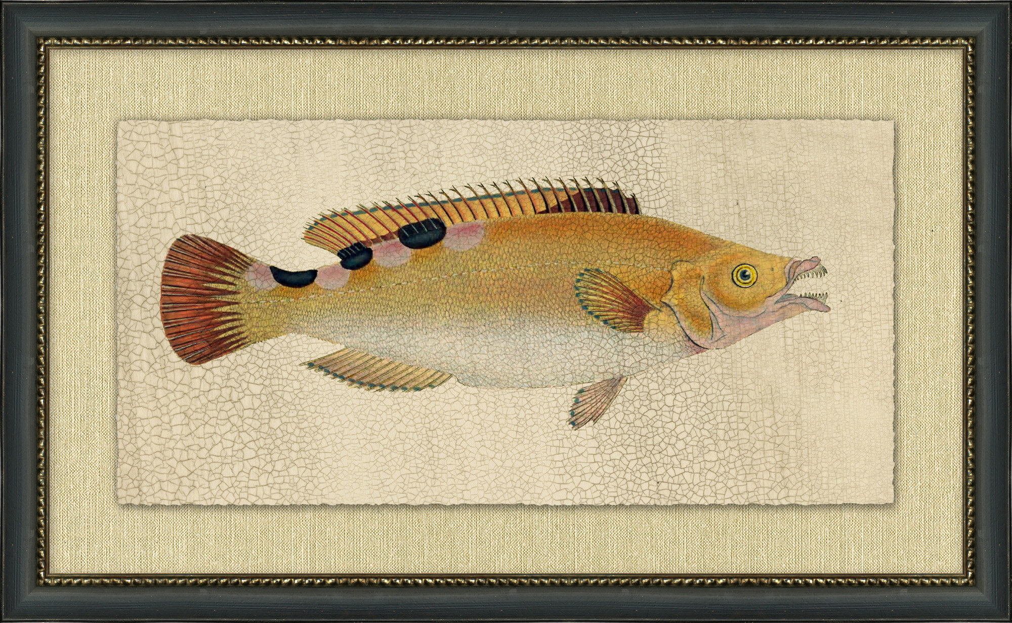 Wendover Art Group Fish Study 2 - Picture Frame Painting | Perigold