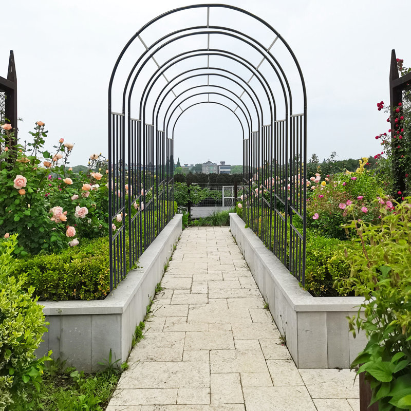 41,65 x 17,05 x 83,68 arche de jardin en métal